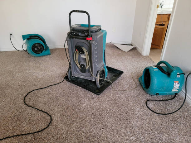 Best Flood restoration services  in Geneva, NY