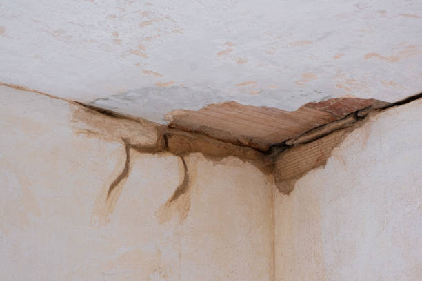 Best Carpet water damage restoration  in Geneva, NY