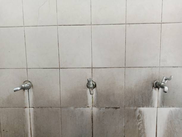 Best Water damage cleanup near me  in Geneva, NY